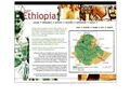 Dear Ethiopia : Carnet de Voyage en Ethiopie
