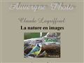 Claude Lagriffoul macrophotographies nature flore faune