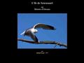 L'île de Seurasaari ou Histoires d'oiseaux