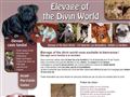 Elevage of the divin world:élevage canin familial à La Verdière 83 Var PACA