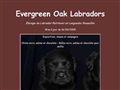 Les Labradors Of Evergreen Oak