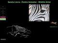 Sandra LLORCA - Peintre animalier, paysages et orientaliste