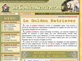 Golden Retriever, Histoire et informations chien