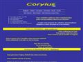 CORYLUS : Internet, Intranet, Extranet et autres Nets ...