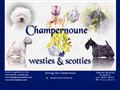 Elevage de Champernoune - scottish terrier - westie
