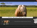 Elevage chevaux, Le Bois d'Ambre à Ferrieres Les Bois (25)