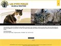 Toilettage pour chiens et chats, Les Ptits Poilus à Bléré (37)