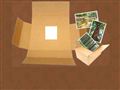 Le Recyclage de cartons - Ecobox