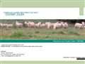 Vente agneau, Coutant Julien à Ricourt (32)
