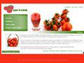 Production des tomates, Domaine Berteau à Montjaux (12)