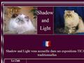 Shadow and Light : organisation d'expositions félines - Club de race persane