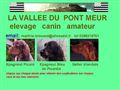 Elevage amateur canin de la vallée du Pont Meur dans les Côtes d'Armor (22) - Vente de chiots