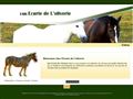 Elevage, chevaux, Earl Ecurie de lOliverie à Saint-Sulpice-la-Foret