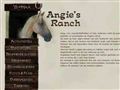 Angies Ranch | Een Nederlandse manege gelegen in de Périgord / Dordogne.