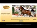 Centre dentraînement de chevaux Tchaata Arabians à Garlin (64)