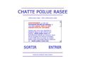 Chatte poilue rasee