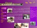  Les Pékinois des Capucins de Pek King élevage de chiens et chiots| Gien | Loiret | 45 |