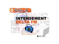 radio delta fm 88.9 terre de camargue