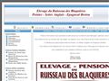 Elevage du Ruisseau des Blaquières: Poniter, Setter Anglais, Epagneul Breton