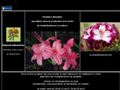 Pépinière Wauthier rhododendron et azalée