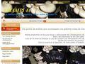 Culture et vente en ligne de champignons à Villiers sur Loir (41)