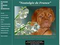 Nostalgie de France : Elevage de Dogues de Bordeaux
